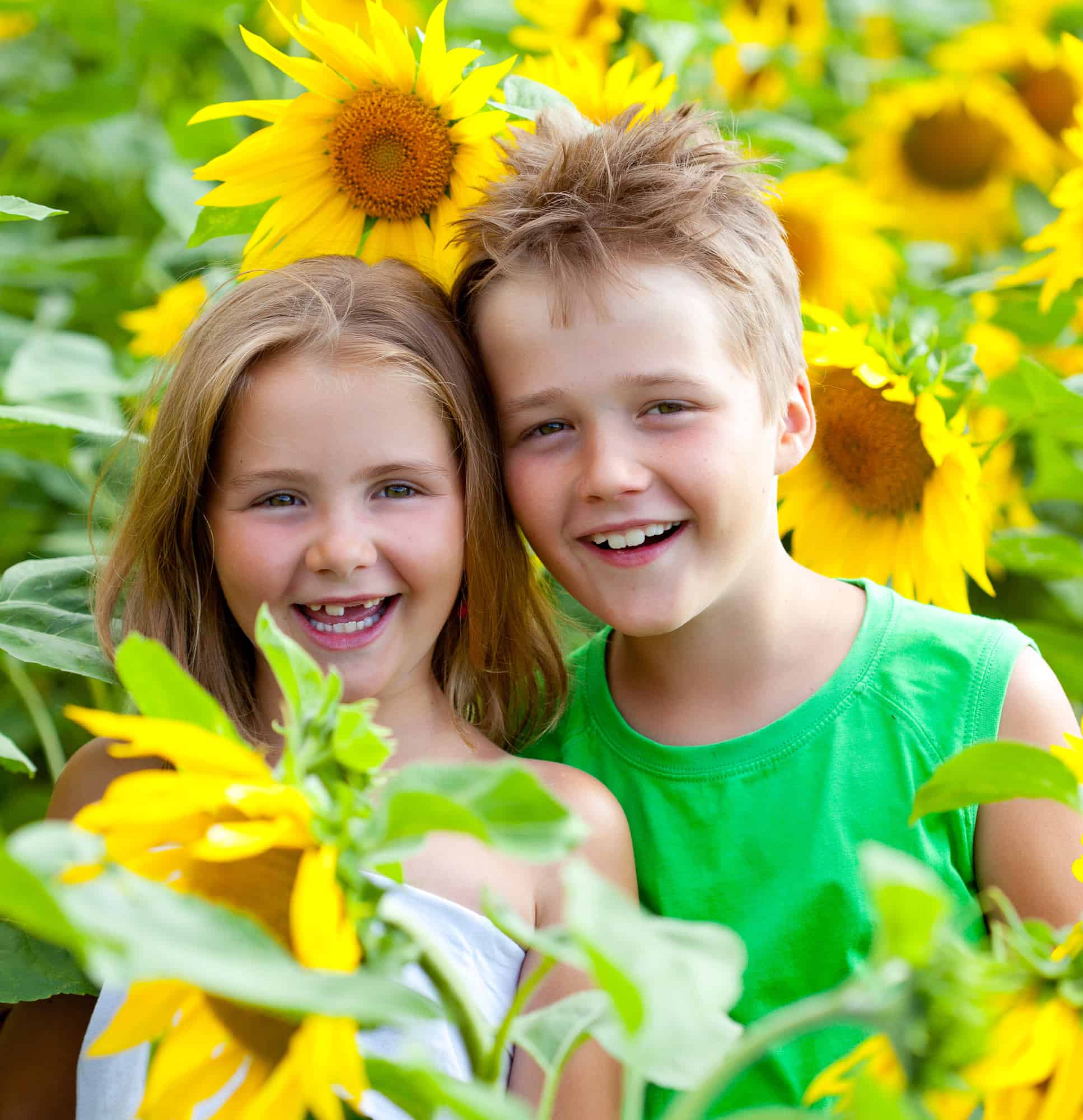 Ken's Sunflower Field & Children